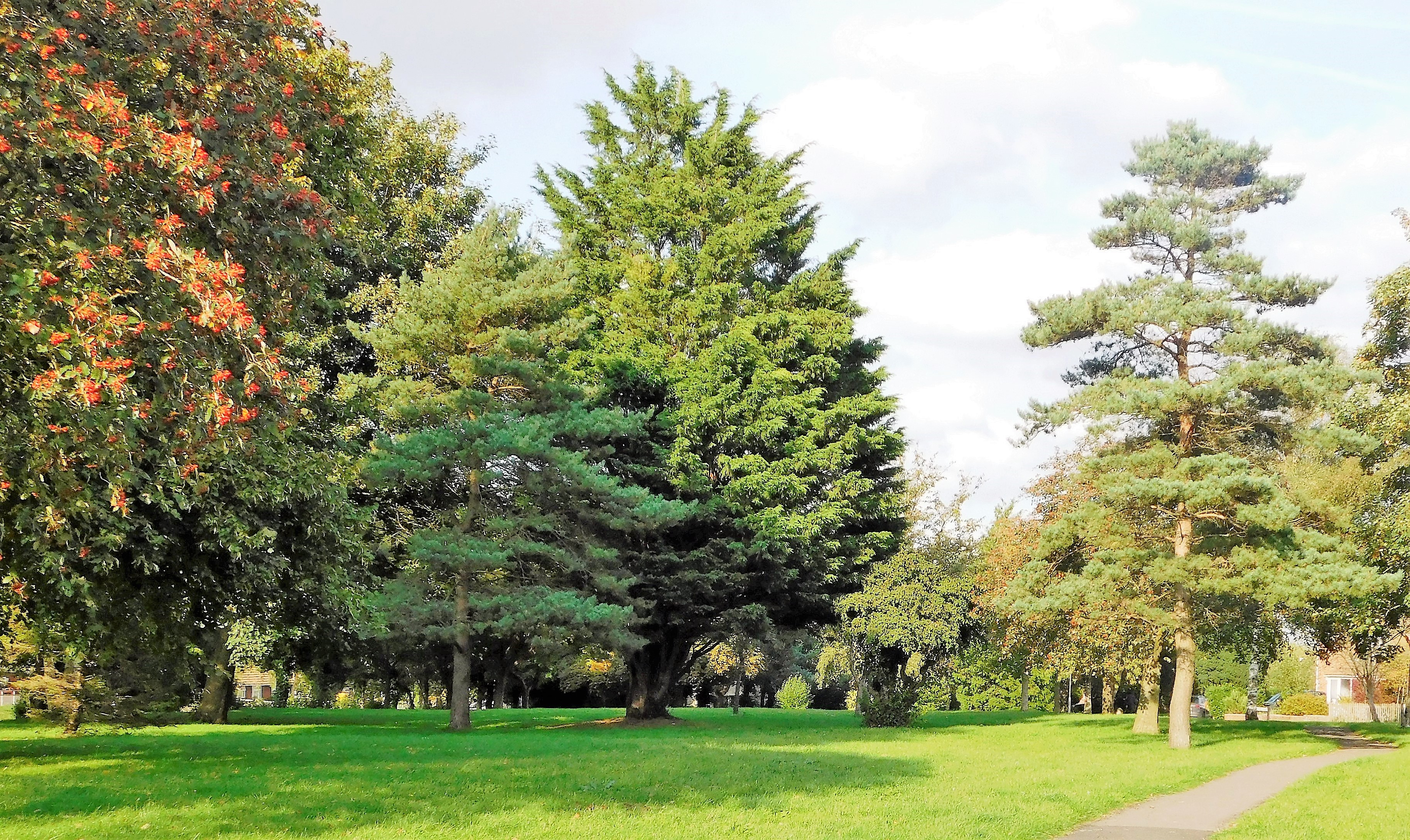 millennium green 2